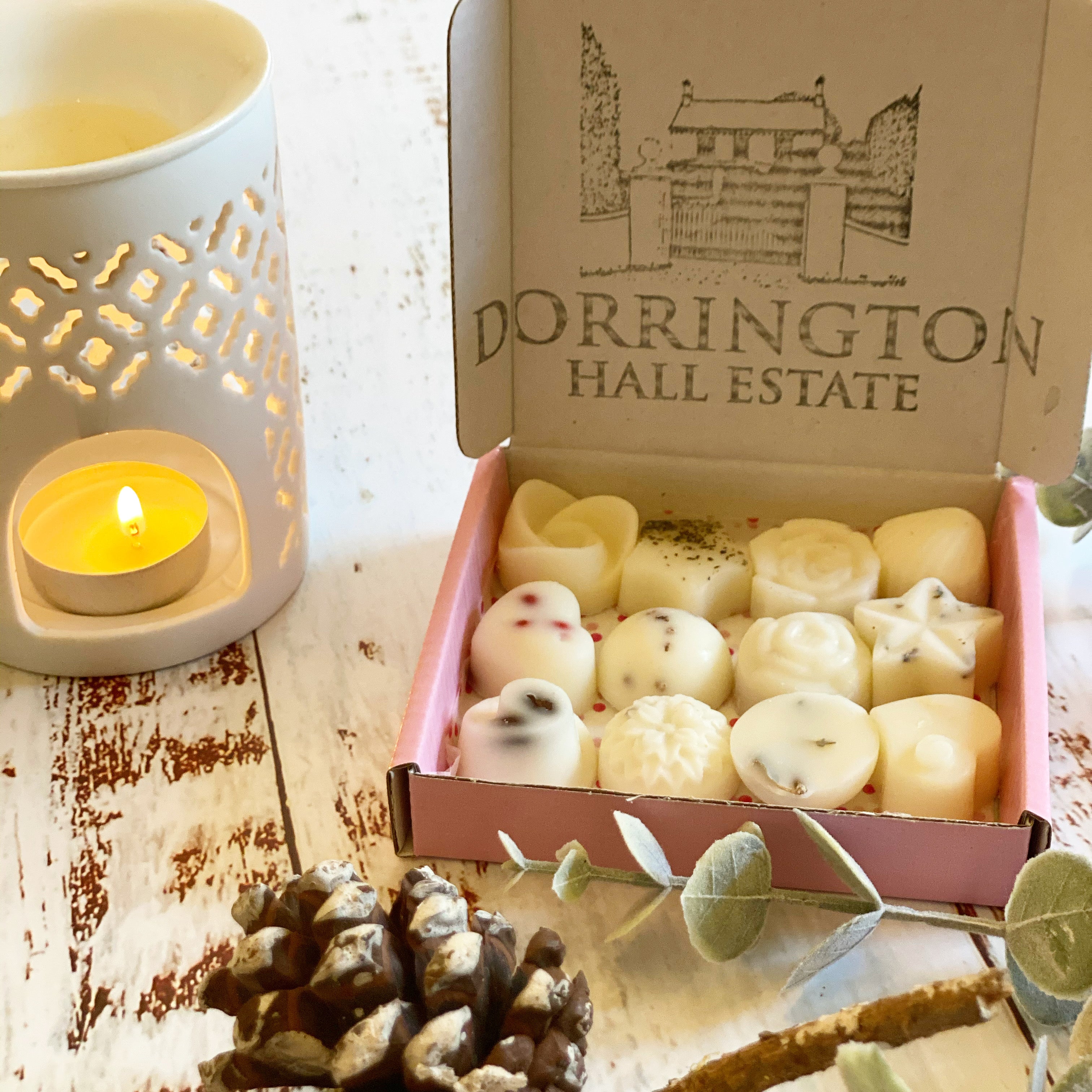 Cut Away Oil Burner Gift Set