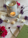 Dragon Fly Gift Set